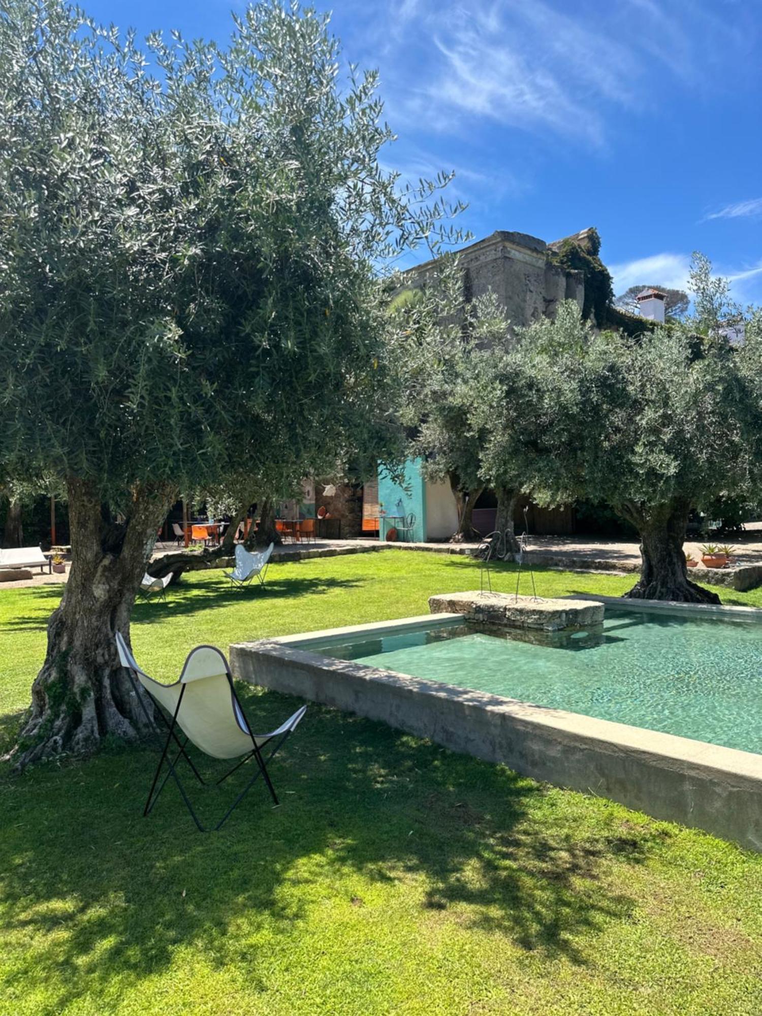 Convento Senhora Da Vitoria Hotel Castelo de Vide Ngoại thất bức ảnh